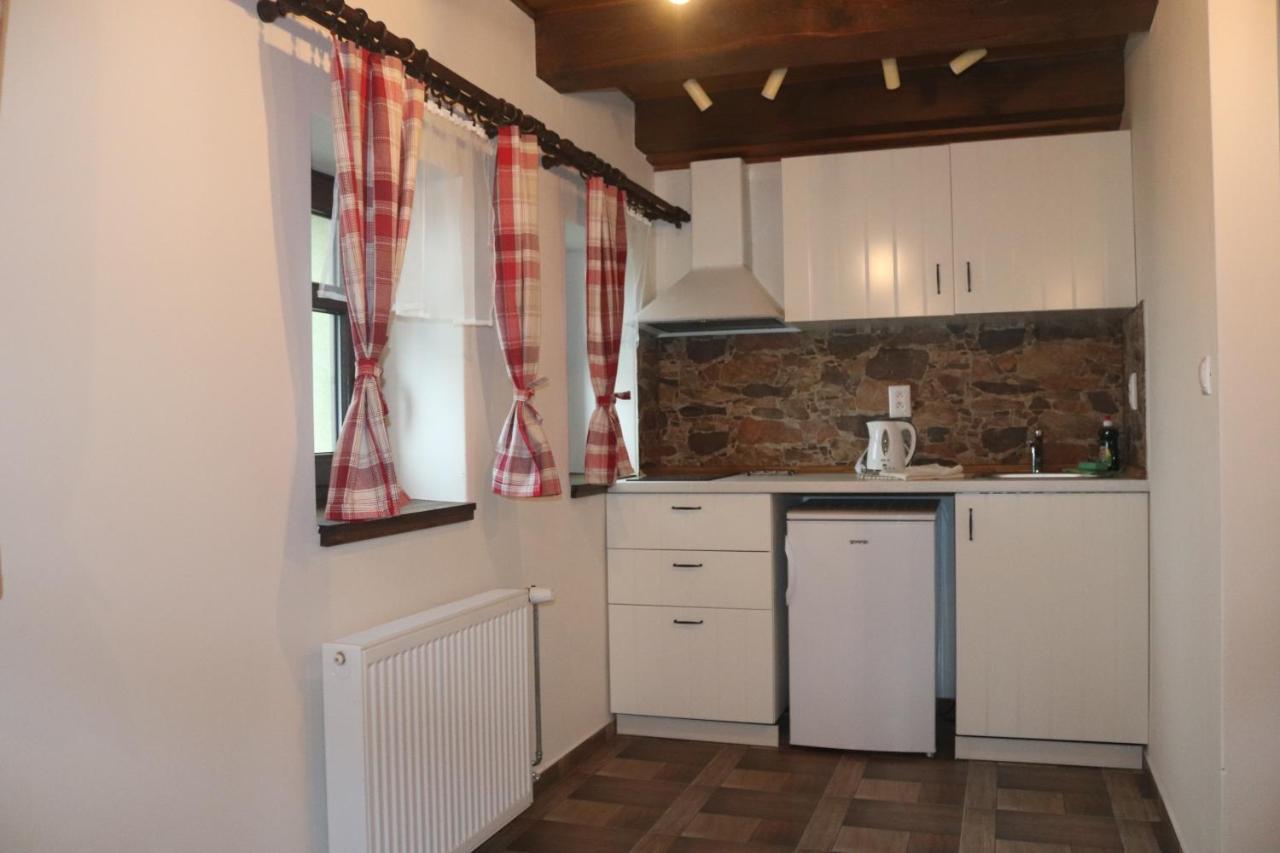 apartmány Kynast Albrechtice v Jizerskych horach Exterior foto